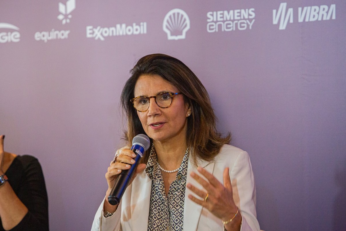 Ana Toni, secretária nacional de Mudança do Clima do Ministério do Meio Ambiente (Foto: Beatriz Orle/Agência O Globo)