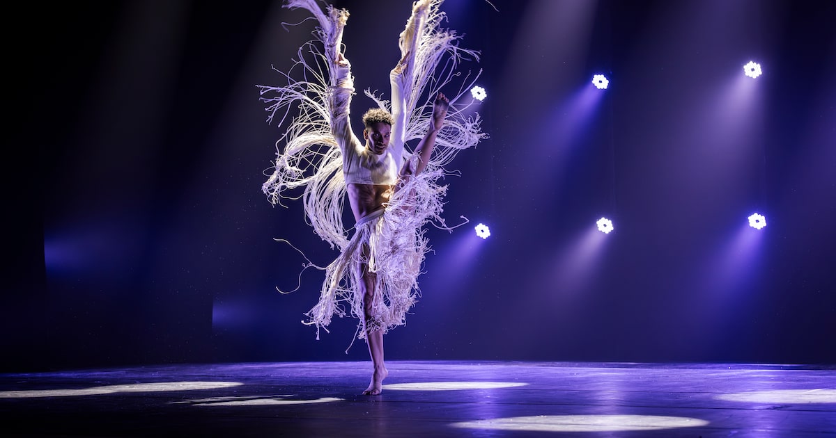 Teatro em São Paulo recebe estreias imperdíveis com grandes nomes neste fim de semana Foto: Renato Mangolin/Divulgação