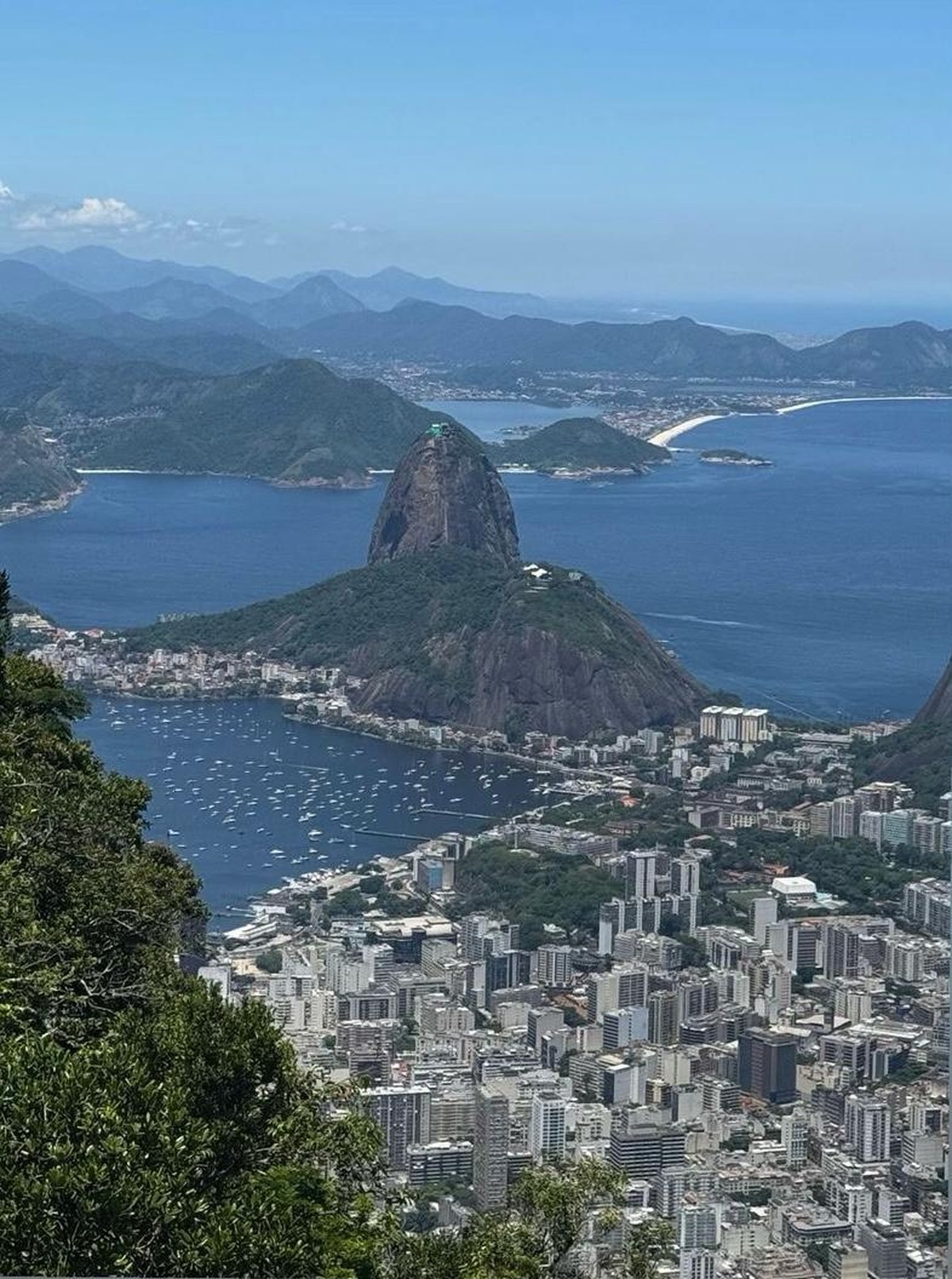 Foto:Reprodução