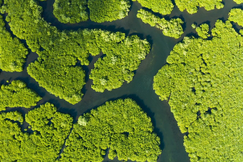 Gases de efeito estufa não contabilizados afetam o clima global Gases de efeito estufa não contabilizados afetam o clima global