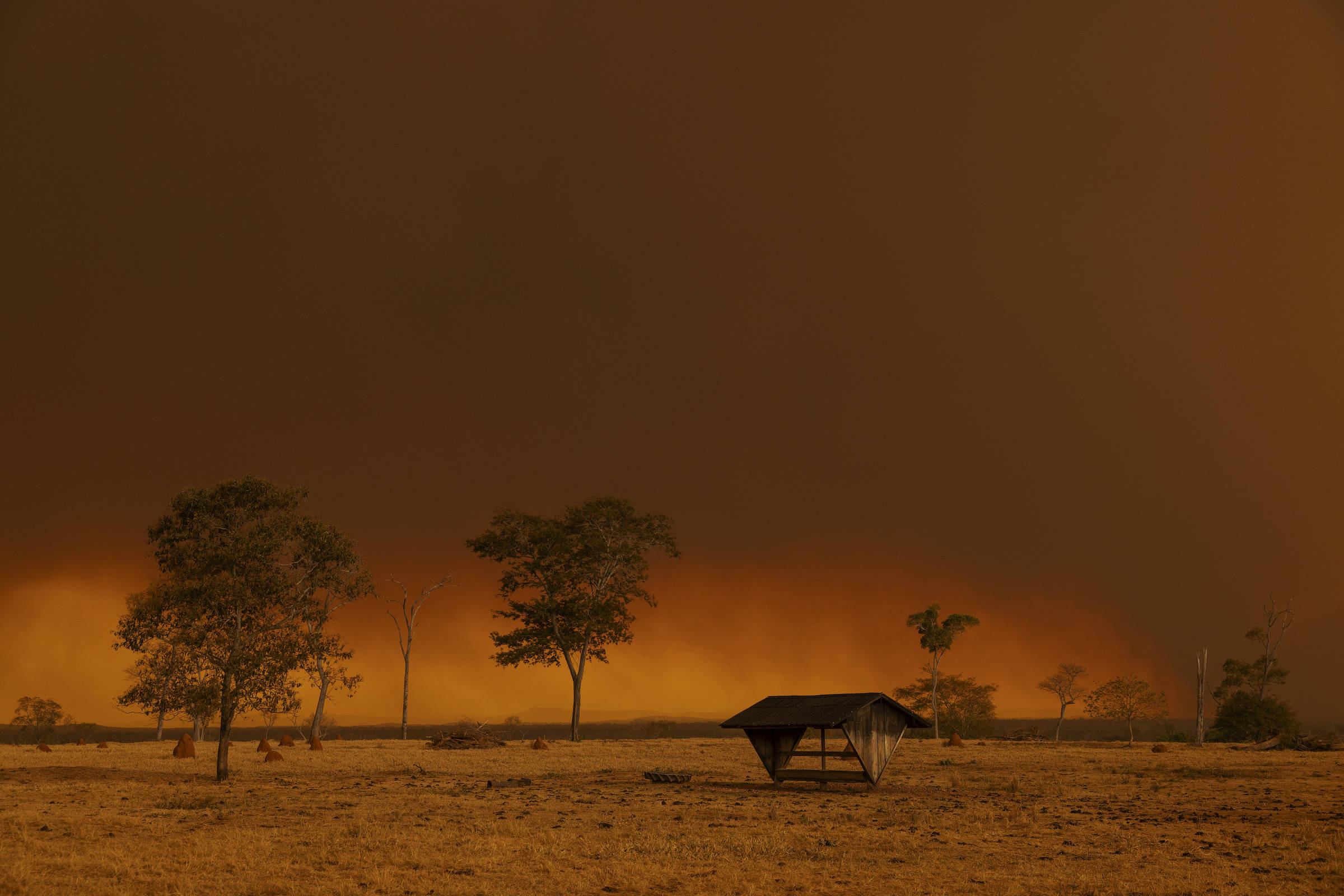 Governo Lula destina R$ 150 mi do Fundo Amazônia para combater queimadas Fogo no pantanal próximo a Miranda, em Mato Grosso do Sul - Lalo de Almeida - 7.ago.24/Folhapress (Foto: Lalo de Almeida - 7.ago.24/Folhapress)