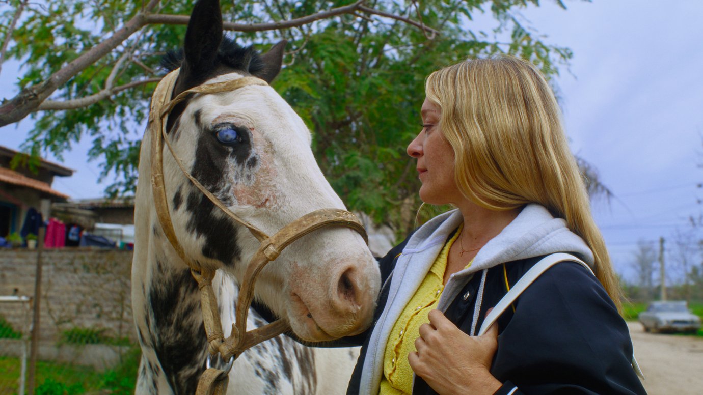 Cinco filmes e séries imperdíveis para maratonar neste fim de semana Magic Farm: estreia do filme no Mubi (Foto: Mubi /Divulgação)