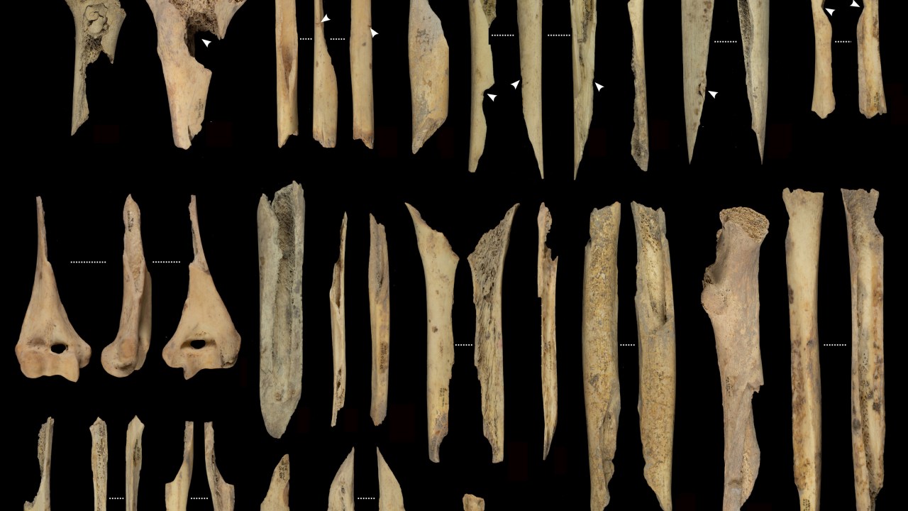 Evidências de canibalismo pré-histórico são descobertas em caverna espanhola