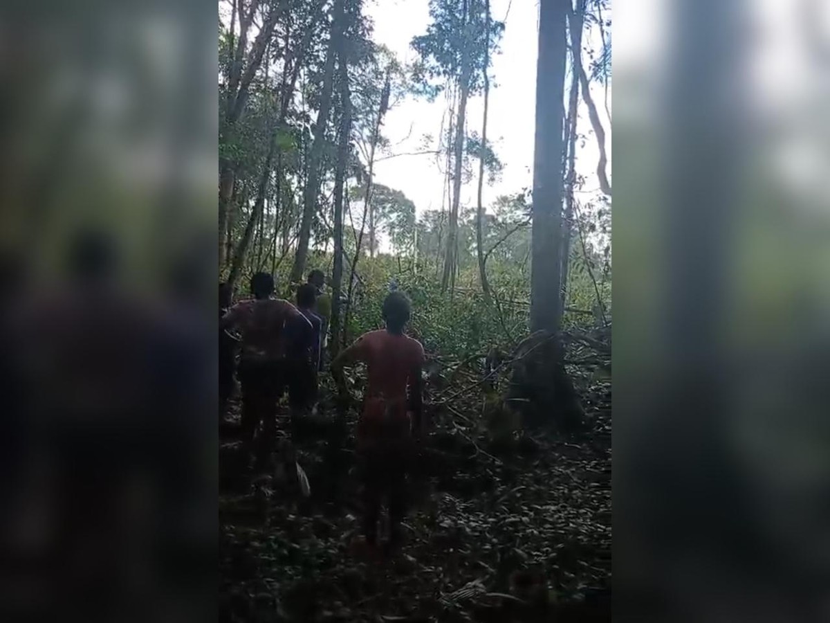 Quilombolas denunciam invasão a território no Amapá, em meio a avanço de exploração da Foz do Amazonas (Foto: Reprodução)