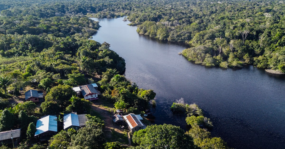 Foto:Reprodução