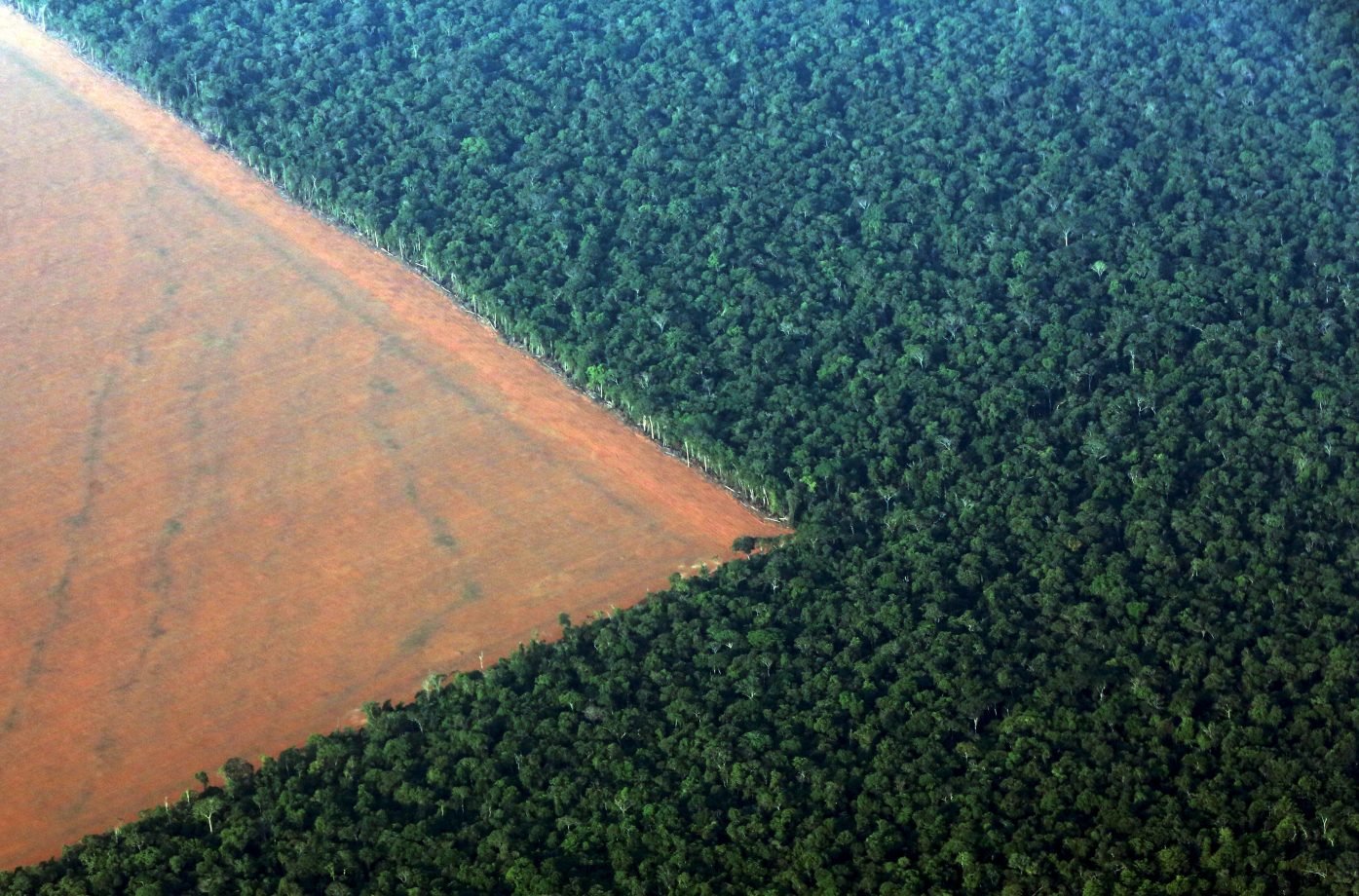 Combustíveis fósseis precisam reflorestar cinco Amazônias para zerar emissões Segundo cientistas, trabalho de neutralização de emissões já não é mais o (Foto: Paulo Whitaker/Reuters)