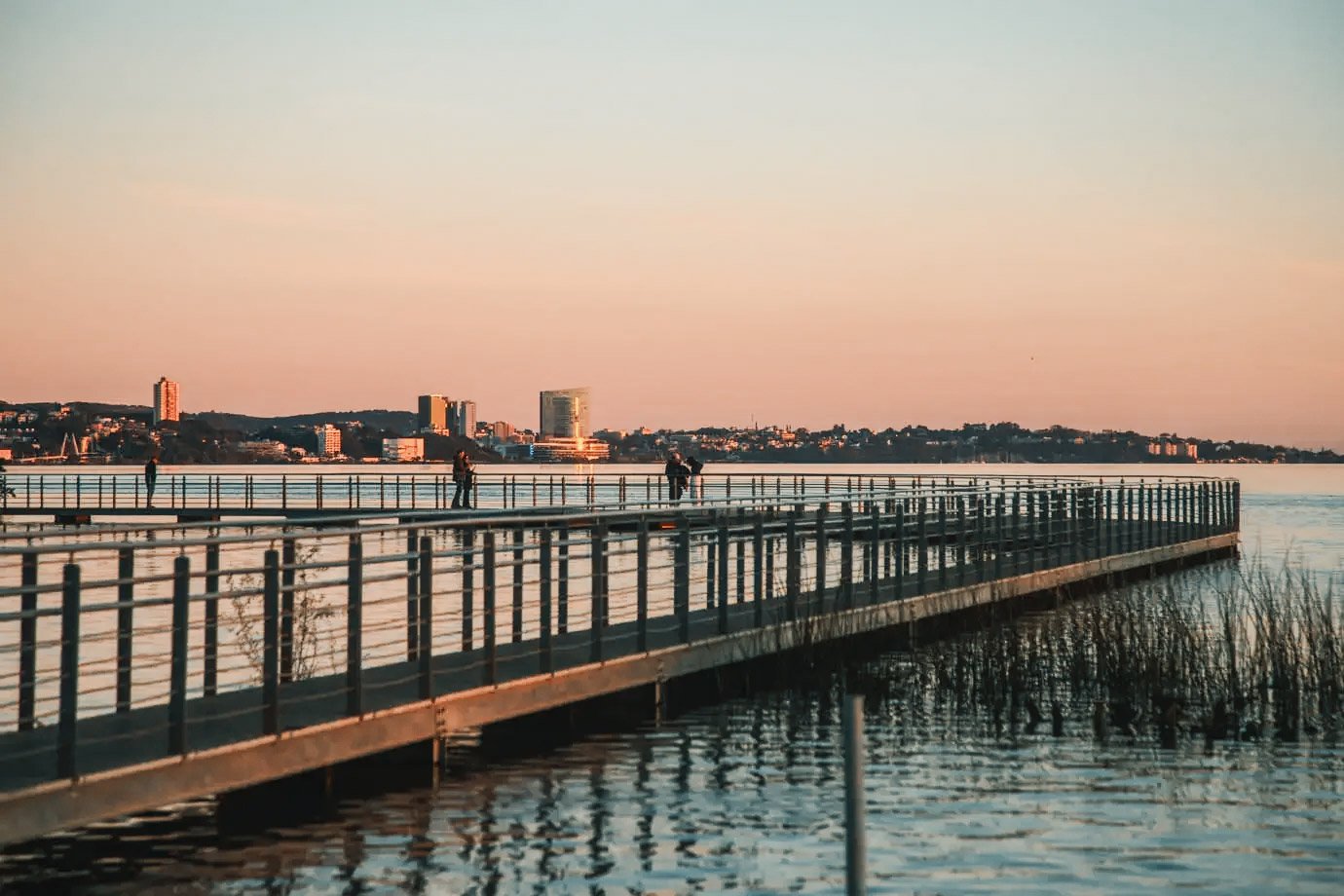 Florianópolis, por exemplo, já é considerada um dos maiores polos de startups do Brasil (Foto: Leandro-Fonseca/Exame)