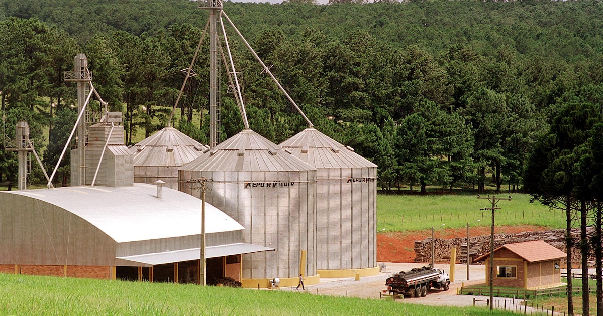 País enfrenta crise de armazenamento com safra recorde de grãos em 2023 Falta de investimentos em armazéns pode atrapalhar a vocação do Brasil de ser o celeiro do mundo, dizem especialistas (Foto: Marcio Fernandes/MARCIO FERNANDES)