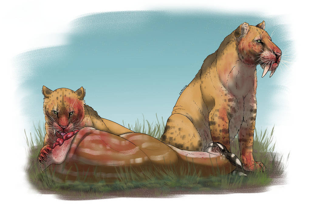 Oferta reduzida de presas provoca extinção dos tigres-dentes-de-sabre Dentes-de-sabre do gênero Smilodon devoram presa; com menos herbívoros para predar, houve perda de diversidade até a extinção (Foto: Felipe Capoccia/Unicamp)