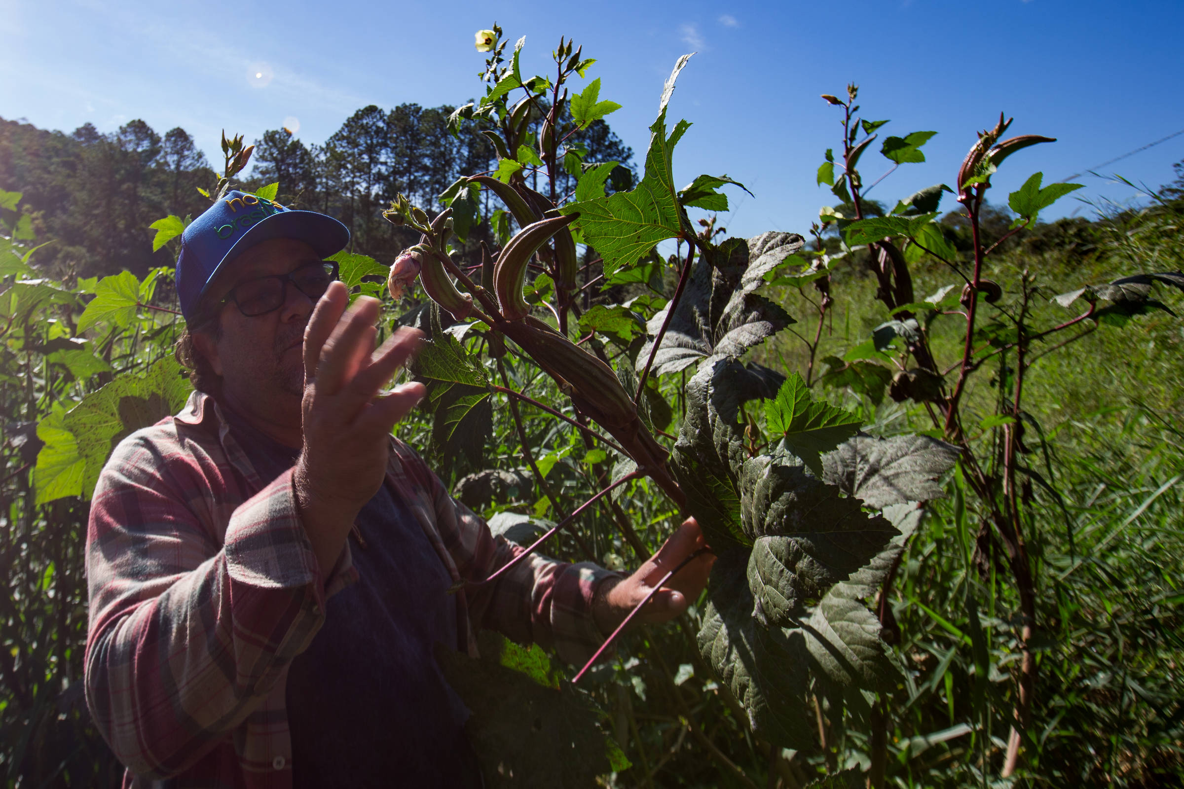 Agroindústria enfrenta desafios de tecnologia e integração para sustentabilidade Painelistas no seminário Agroindústria Sustentável, promovido pela Folha, com apoio do Banco do Nordeste. Na foto (da esq. para a dir.): Luiz Demattê, diretor de Produção e Indústria do Grupo Korin; Bruno Blecher, jornalista especializado em agronegócio e sustentabilidade, mediador do evento; Edna Maria Morais Oliveira, chefe-geral da Embrapa Agroindústria de Alimentos; Paulo Pianez, diretor de sustentabilidade da BRF e Marfrig, e Paulo Teixeira, ministro do Desenvolvimento Agrário e Agricultura Familiar. (Foto: Jardiel Carvalho - 23.jul.25/Folhapress)