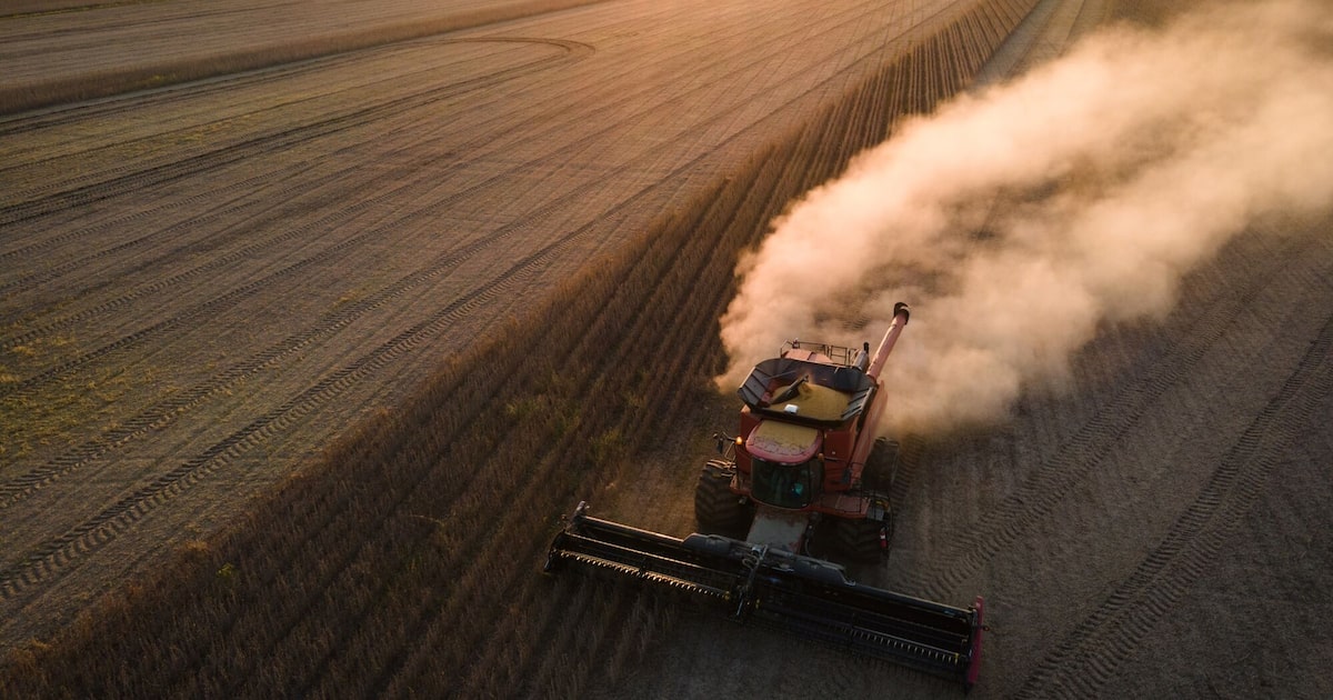 Dados do governo dos EUA do final de julho mostram que o país asiático se absteve de reservar qualquer carga para a próxima safra, que começa em setembro (Foto: Rory Doyle/Bloomberg)