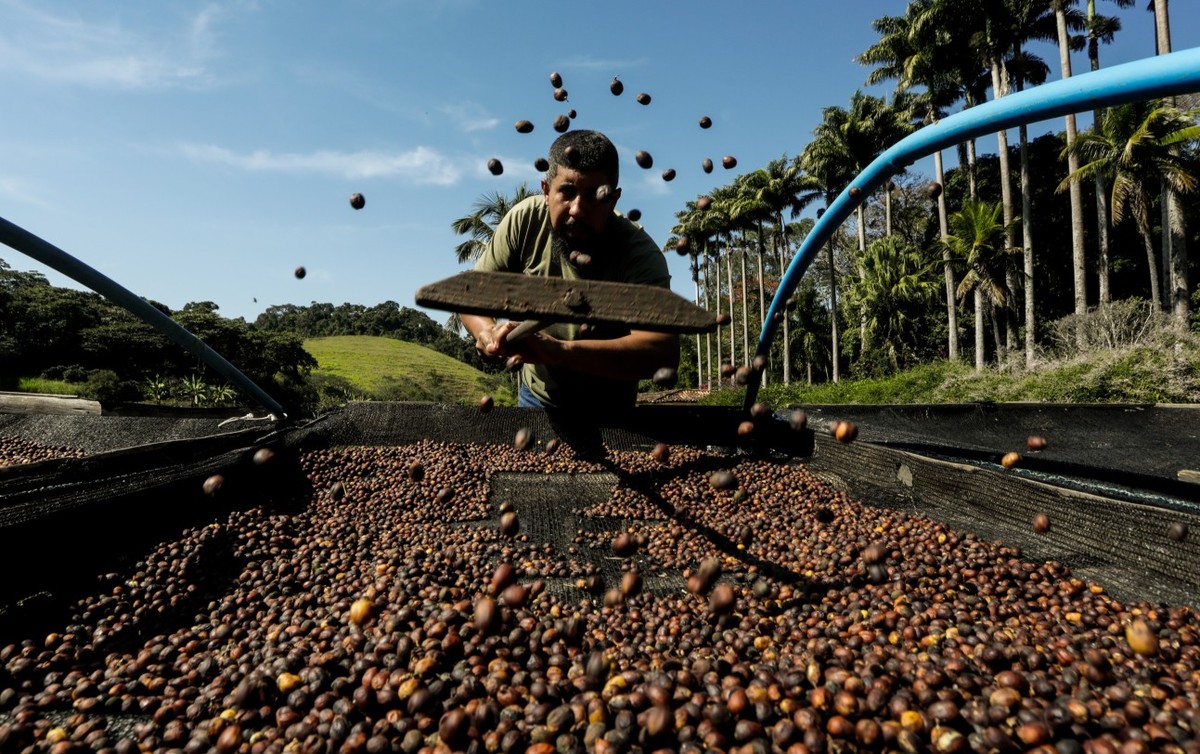 A Fazenda Alliança, em Barra do Piraí, produz o café Durini, que é orgânico — Foto: Gabriel de Paiva