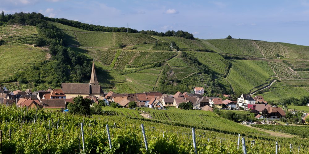 Descubra os encantos da colina Sommerberg nos vinhos da Alsácia Grand Cru Descubra os encantos da colina Sommerberg nos vinhos da Alsácia Grand Cru