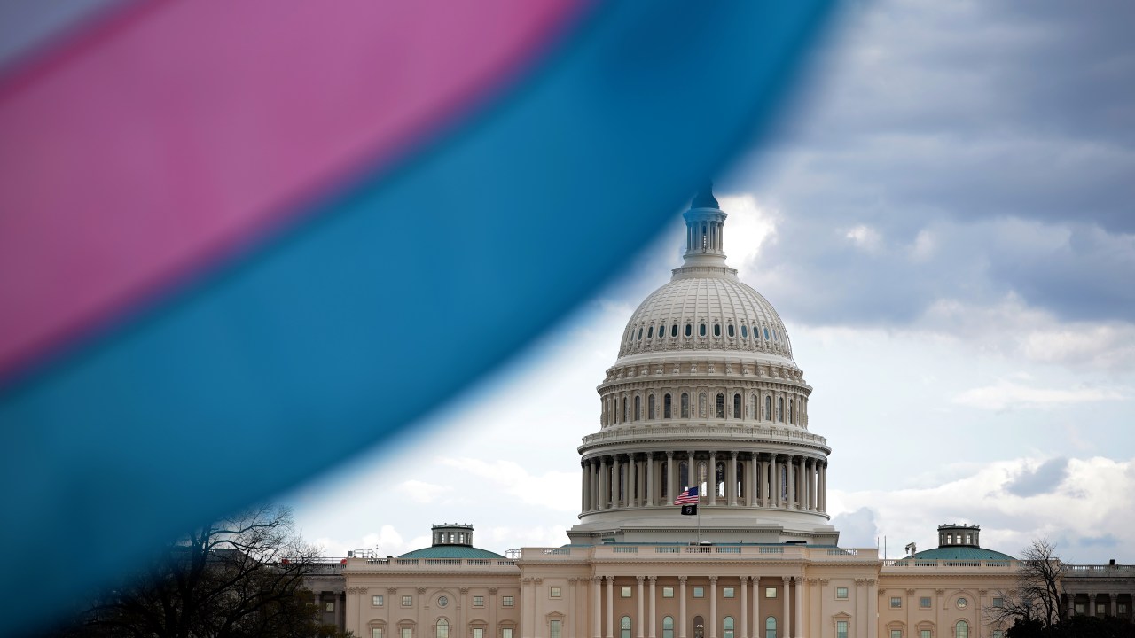 O Capitólio é visto atrás da Bandeira do Orgulho Transgênero, em Washington, nos Estados Unidos. 31/03/2025 (Foto: Kayla Bartkowski/Getty Images)