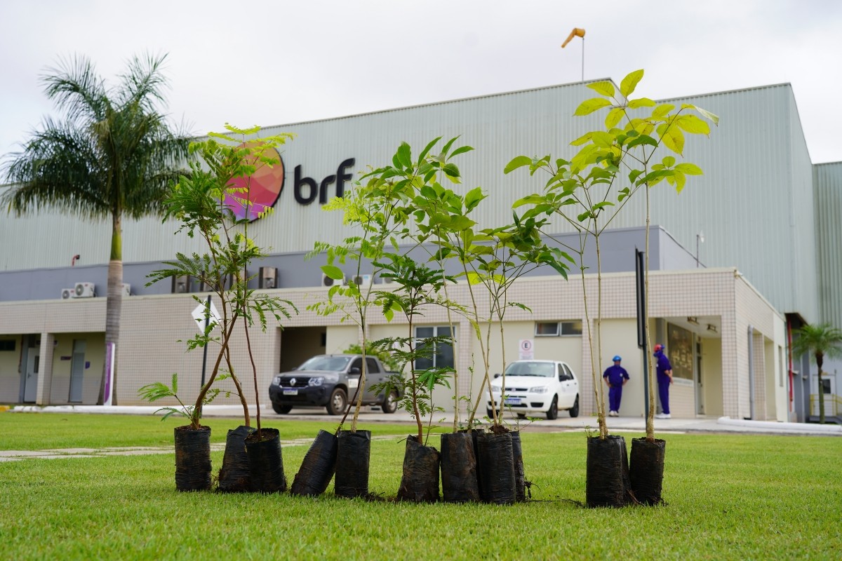 BRF é condenada por danos a funcionária que perdeu gêmeos durante a gestação Unidade da BRF em Lucas do Rio Verde (Foto: Prefeitura de Lucas do Rio Verde/divulgação)