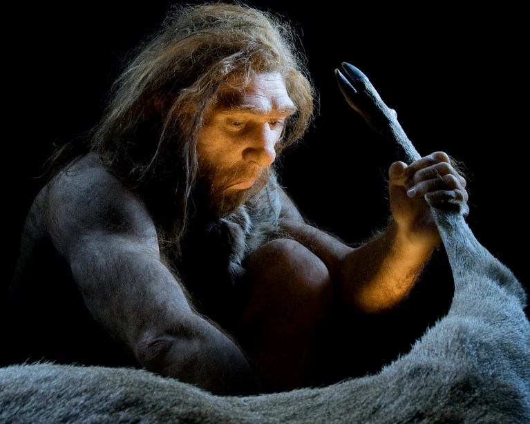 Neandertais extraíam gordura de ossos 100 mil anos antes dos humanos modernos Restos de pelo menos 172 grandes animais, fragmentados e queimados, indicam que neandertais operavam centros sistemáticos de processamento de gordura na Europa pré-histórica. (Foto: S. Plailly/E. Daynes/Science Photo Library/Reprodução)