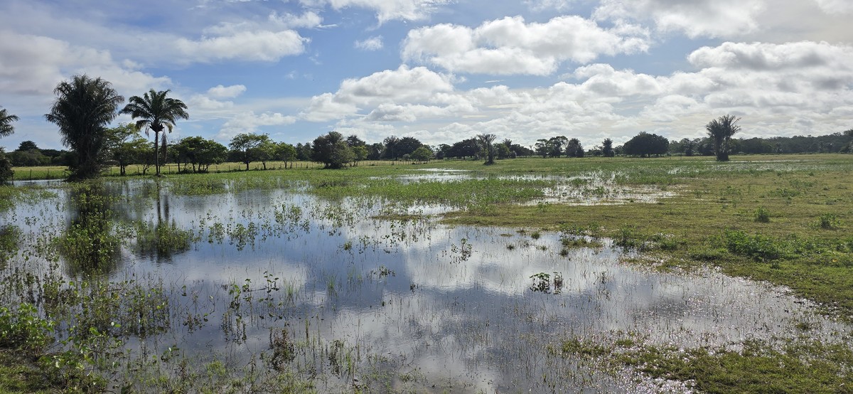 Foto:Reprodução