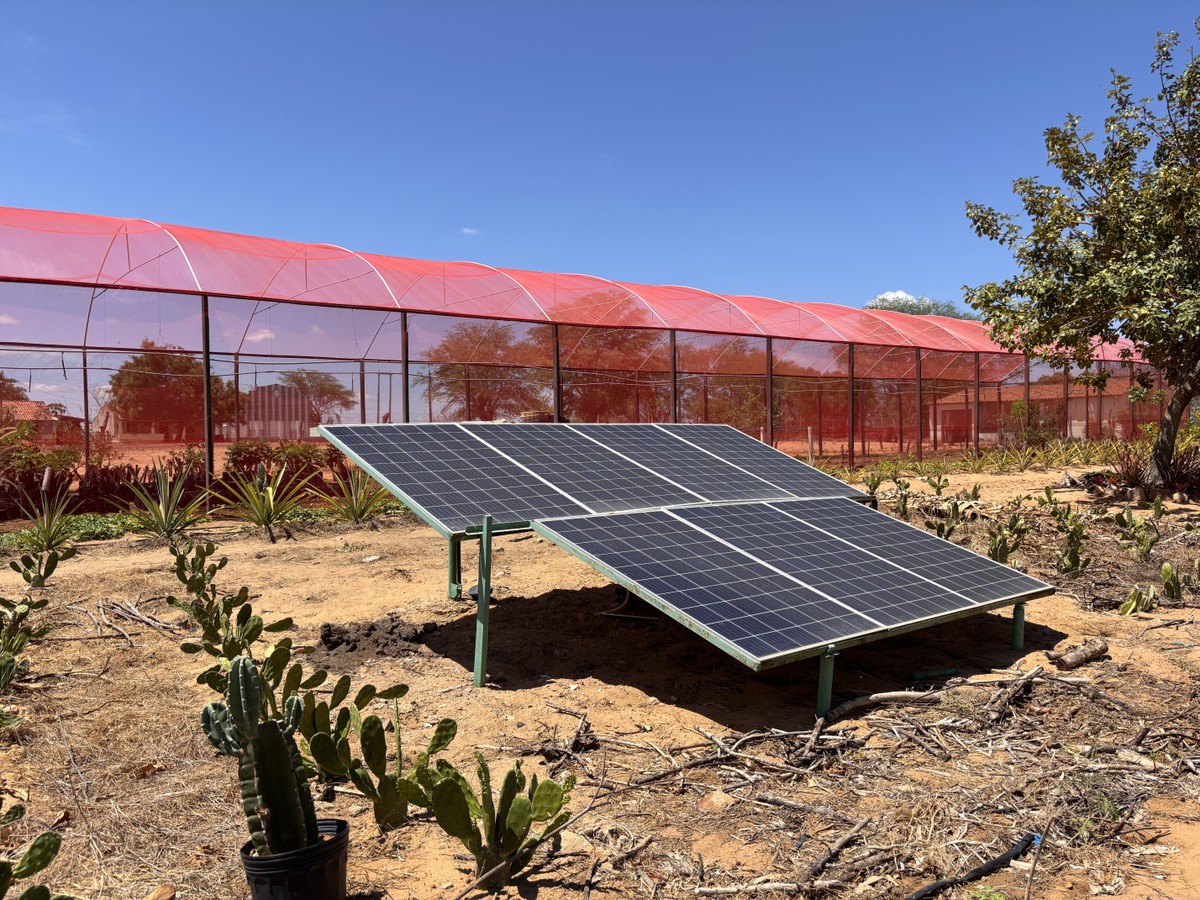 Energia solar no Assentamento Lameirão em Delmiro Gouveia (AL): alta em unidades consumidoras (Foto: Giovanna Revoredo/ASA Brasil)