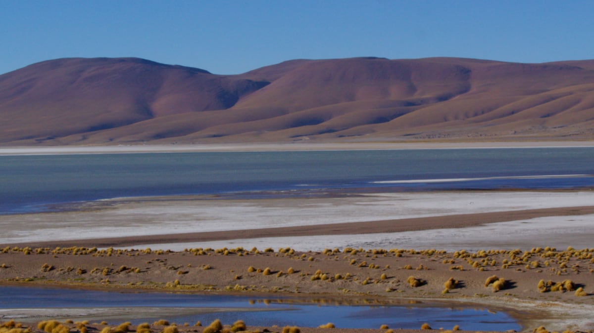 A laguna de Pastos Grandes, um dos corpos d'água que conformam o sistema hídrico de Nor Lípez. (Foto: Fundação Solón)