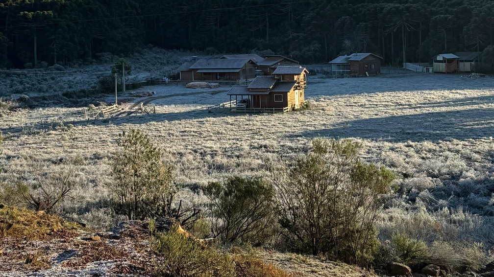 Fim de semana gelado promete temperaturas baixas em seis capitais brasileiras Geada em Urupema (SC), que amanheceu mínima de -5ºC na última quinta-feira (03). (Foto: Aline Pereira/Arquivo Pessoal)