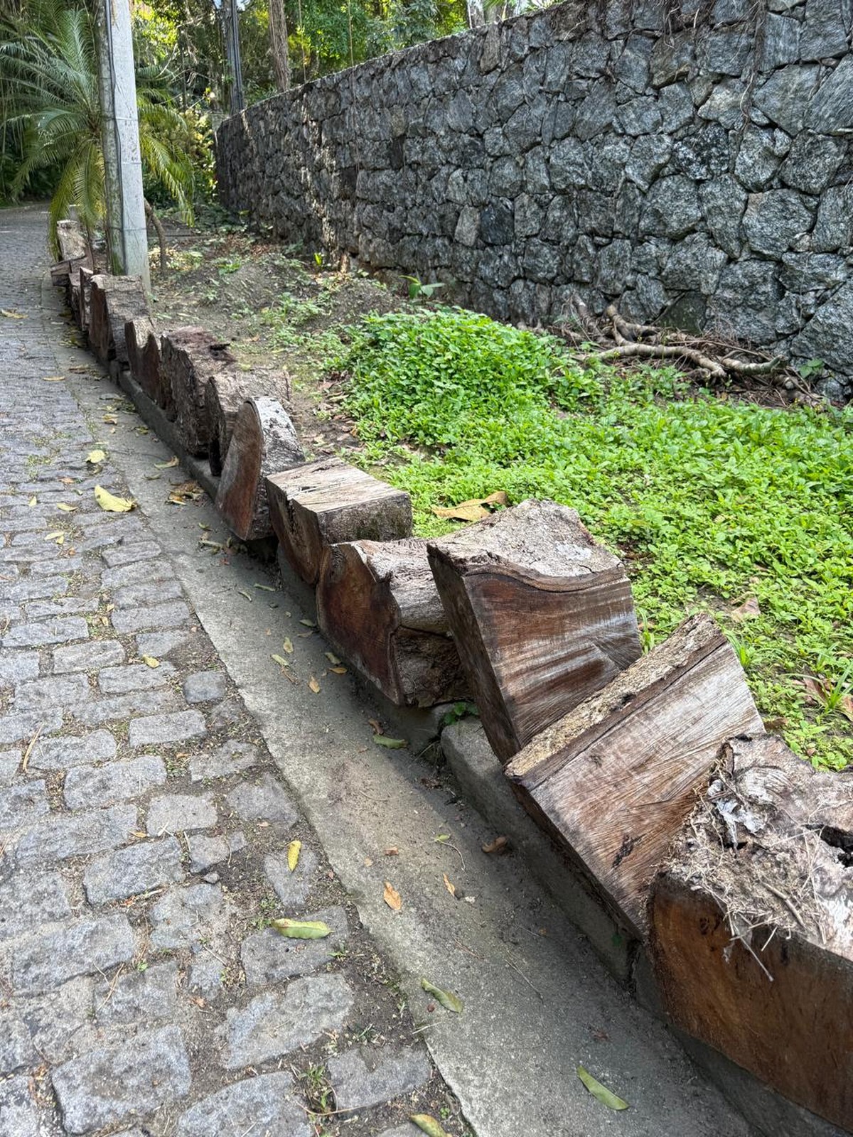 Pedaços de madeira na Rua Iposeira, em São Conrado (Foto: Foto do leitor)