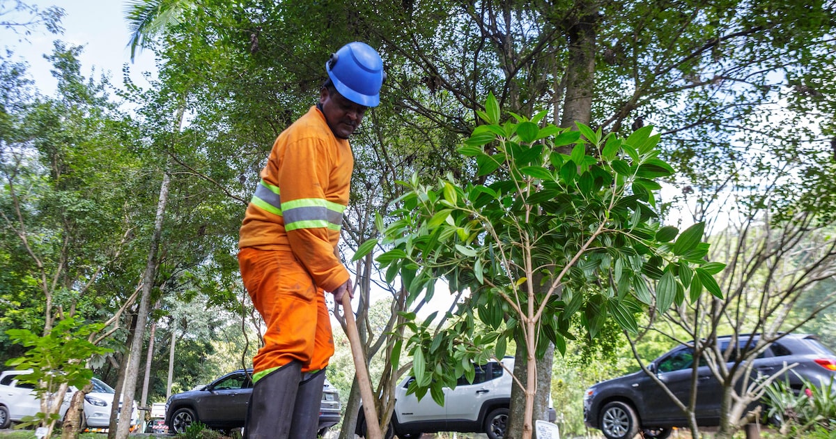 Foto:Reprodução