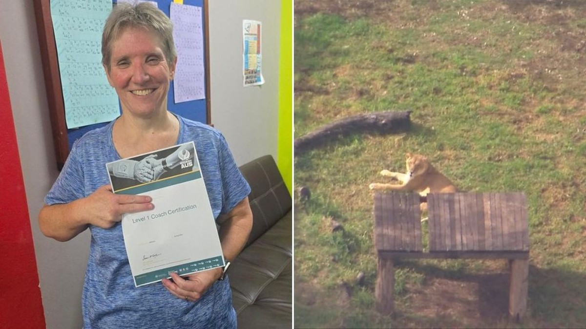 Leão ataca professora enquanto funcionários viralizam vídeos de interação com animal Foto: Reprodução