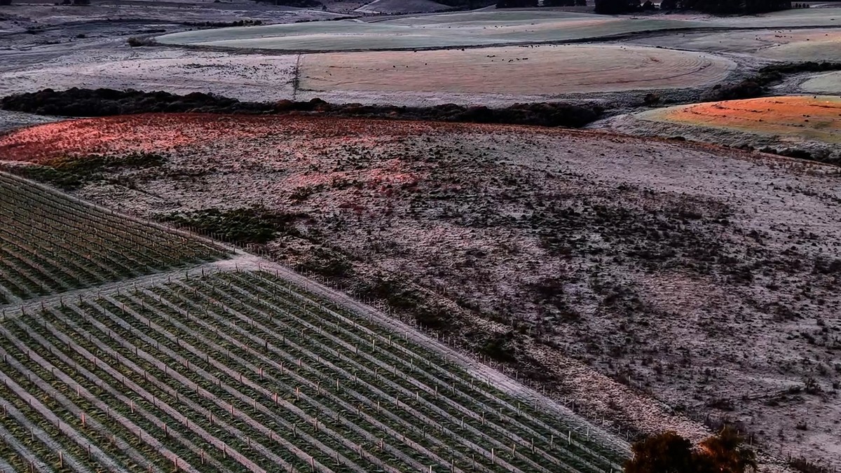 Imagens de drone revelam cidade gaúcha congelada a -7,3°C Cidade gaúcha coberta por gelo na manhã desta terça-feira (Foto: Reprodução Daniel Badra)