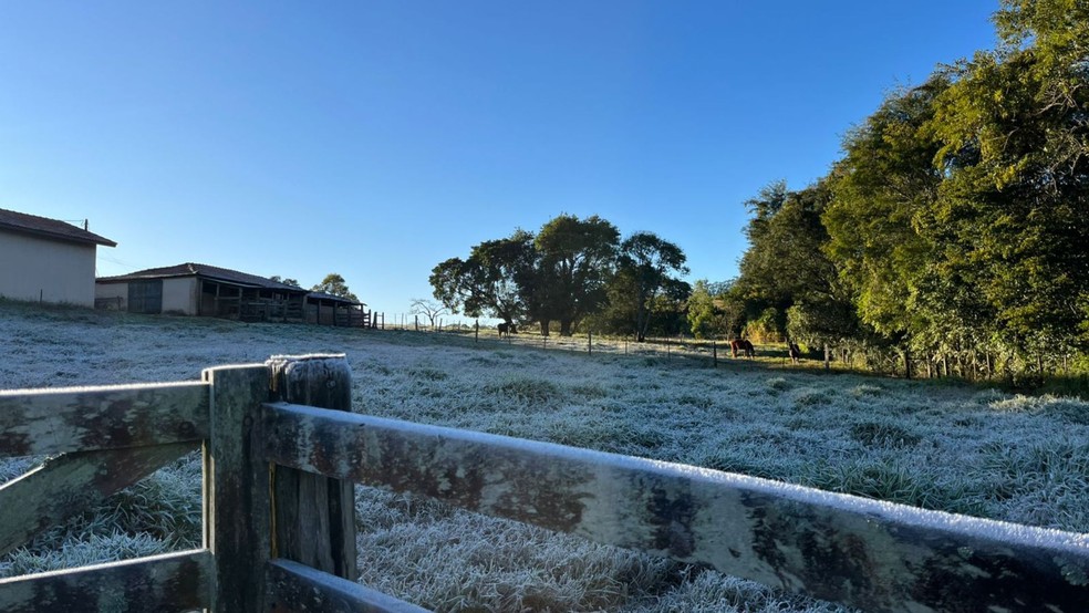 Frio intenso atinge o Sul e provoca temperaturas negativas a partir desta segunda-feira Pardinho (SP) registra geada durante 1ª onda de frio do inverno de 2025. (Foto: Adriano Baracho/TV Tem)