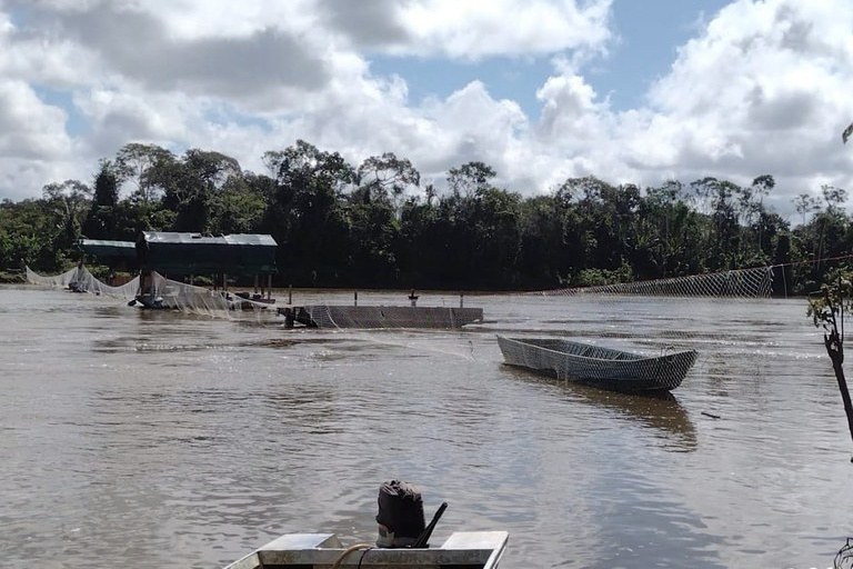 Foto:Reprodução
