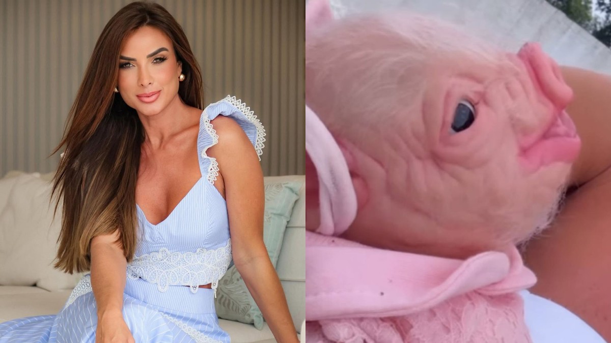 Nicole Bahls apresenta boneca reborn em formato de porca e viraliza nas redes sociais