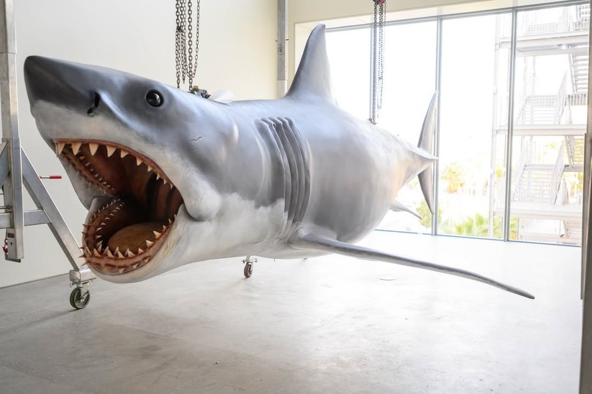 'Tubarão' completa 50 anos e exposição com animal do filme é aberta em museu americano Tubarão original de filmes de Steven Spielberg está em exibição no Museu da Academia de Artes e Ciências Cinematográficas de Hollywood (Foto: Reprodução / Instagram)