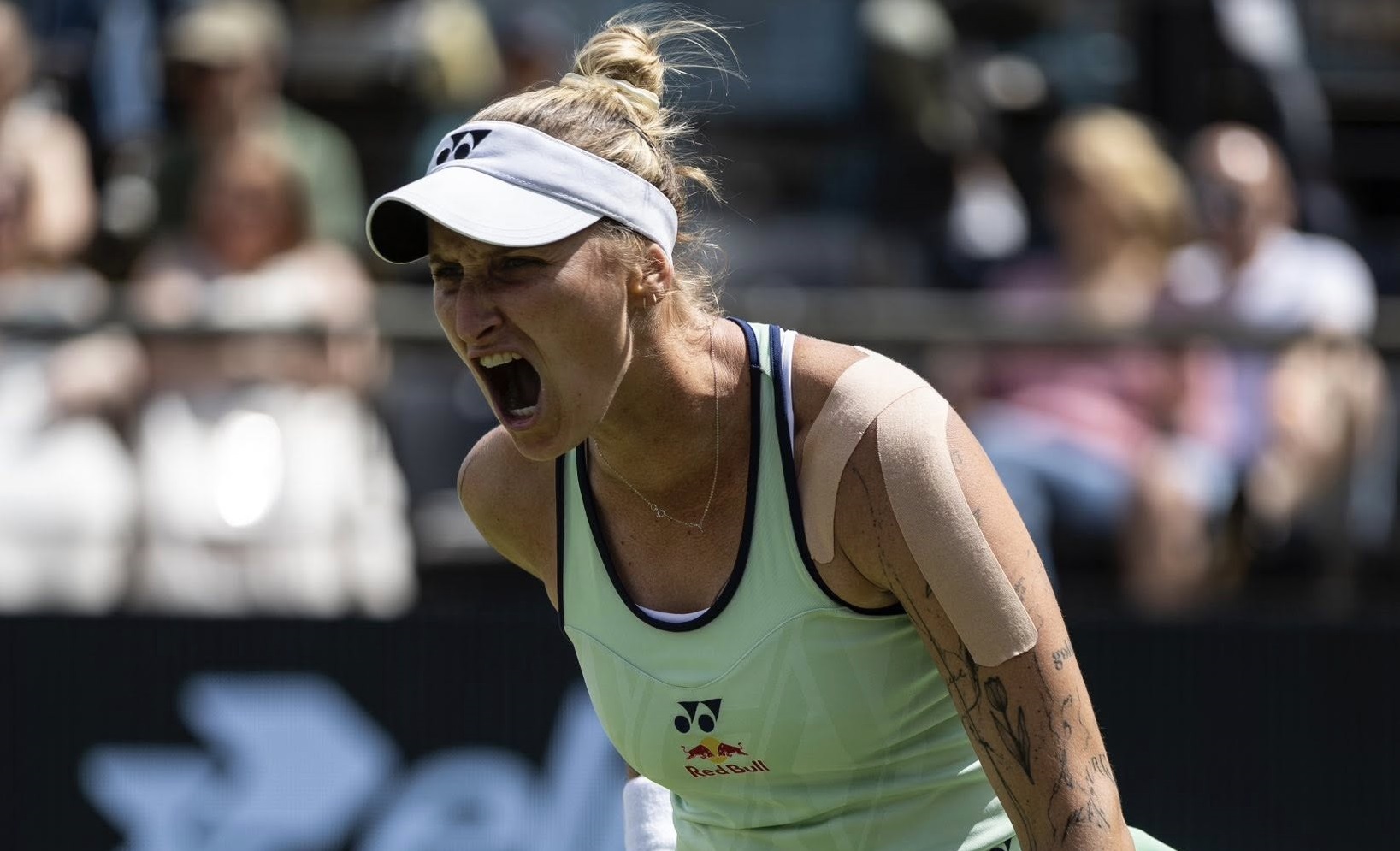 Vondrousova vence Jabeur novamente e Badosa se retira do torneio na grama Foto: Reprodução