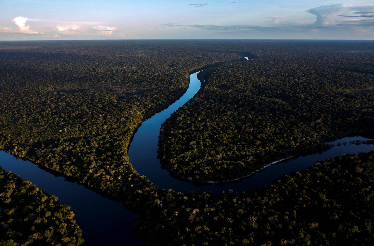 Ideia inovadora transforma o cotidiano e surpreende a comunidade Imagem aérea da floresta amazônica (Foto: Mauro Pimentel/AFP)