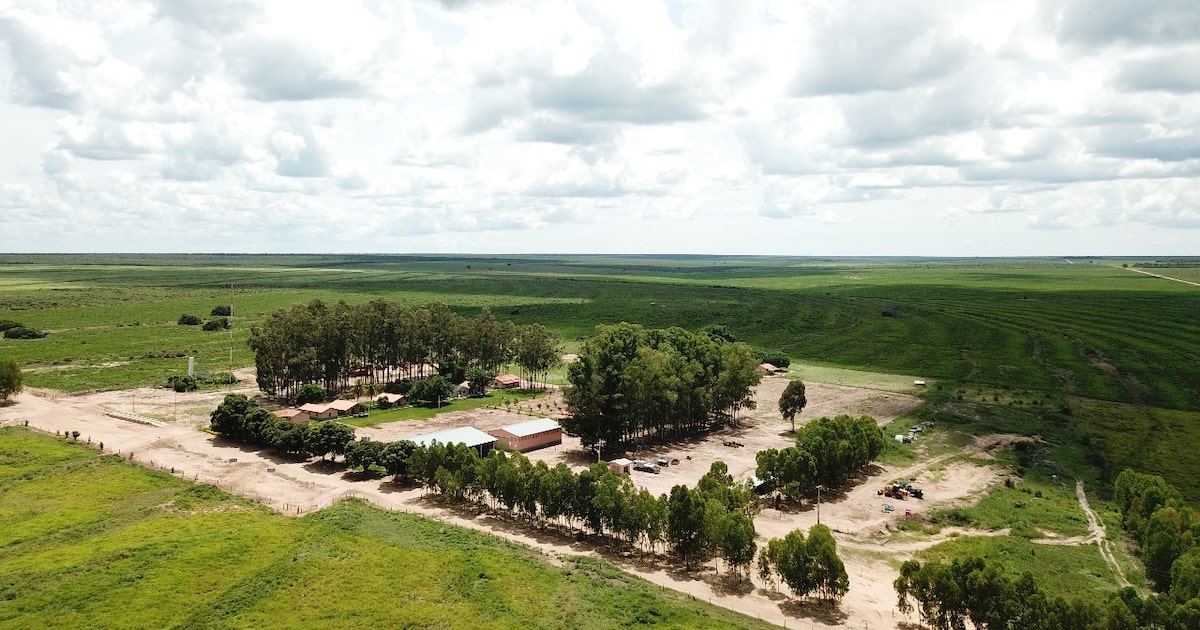 BrasilAgro realiza venda de fazenda na Bahia por R$ 141,4 milhões após 17 anos Fazenda Preferência, localizada em Baianópolis, no oeste da Bahia: adquirida por R$ 10,7 milhões em 2008 e recebeu depois investimentos de R$ 23,9 milhões - (Foto: divulgação)