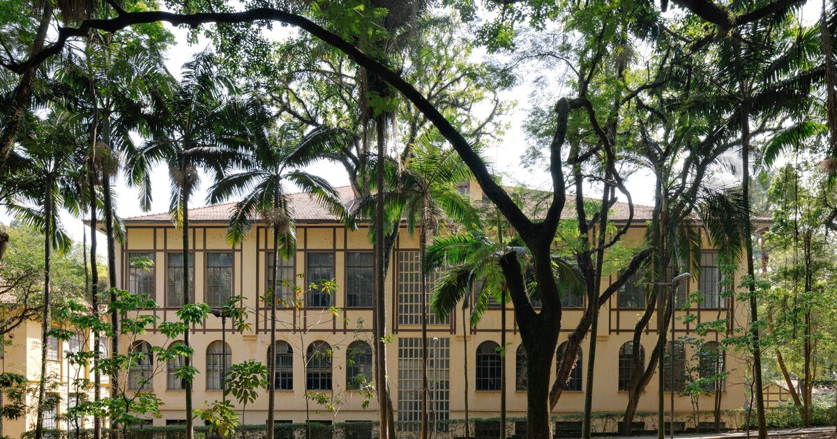 Foto:Reprodução