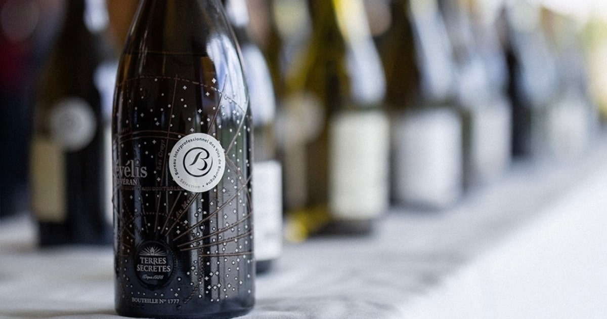 Borgonha busca expandir mercado no Brasil com vinhos de regiões menos conhecidas Produtores da região de Borgonha buscam apresentar novos rótulos ao mercado brasileiro (Foto: Reprodução/Instagram/Vins de Bourgogne)