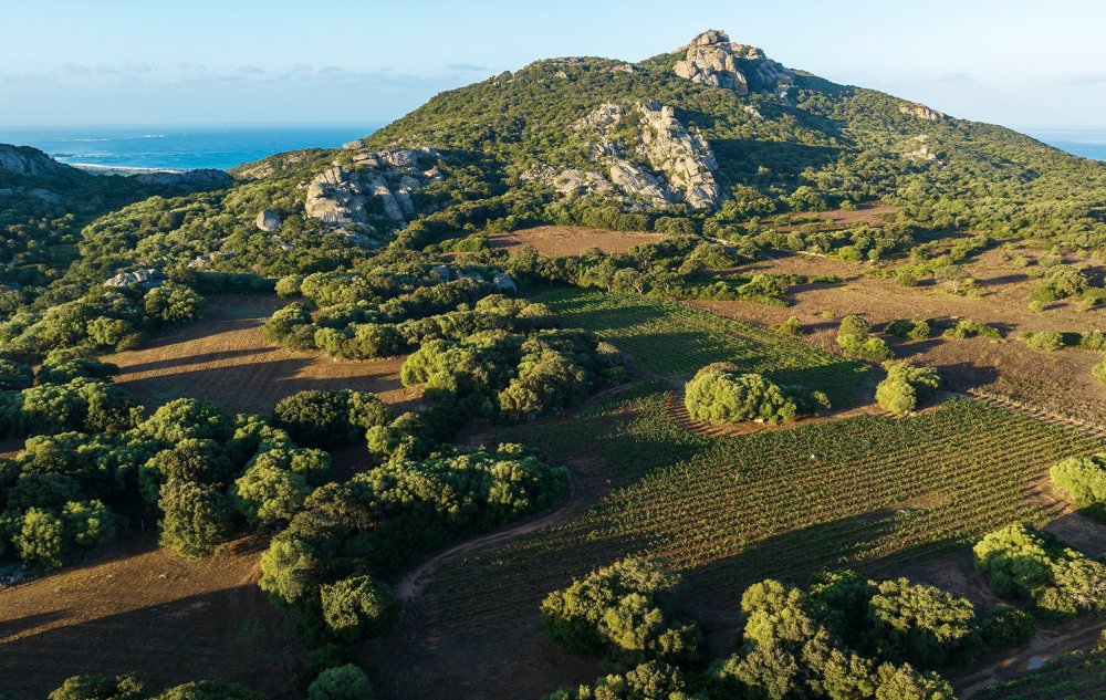 Oenoturismo na Provence e na Córsega destaca belezas do sul da França Oenoturismo na Provence e na Córsega destaca belezas do sul da França