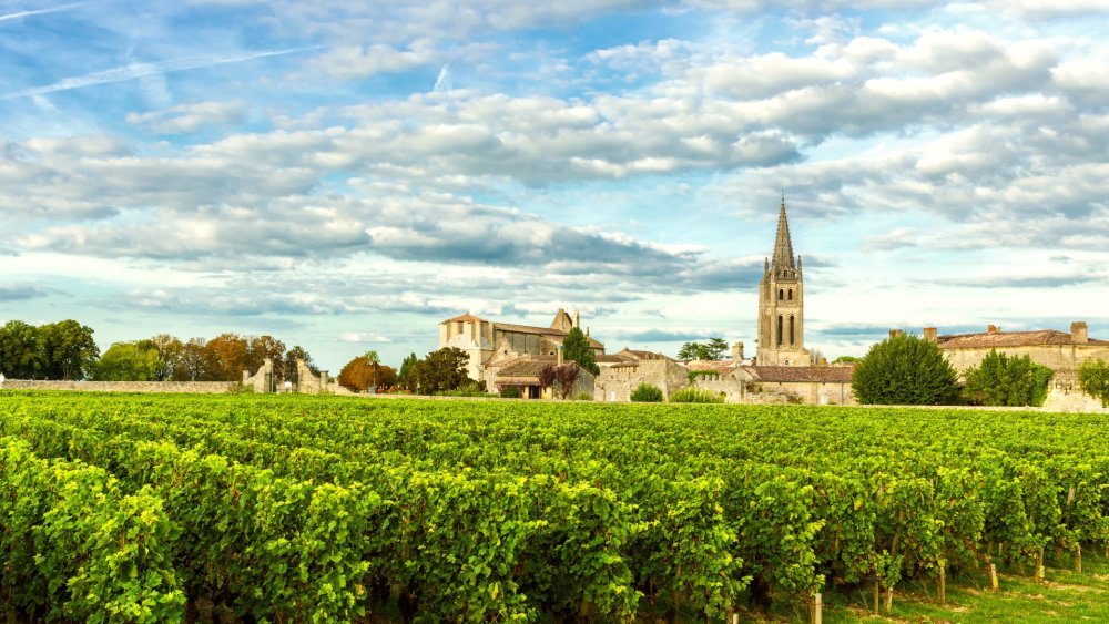 Descubra 15 vinhos da margem direita de Bordeaux por menos de 15 euros