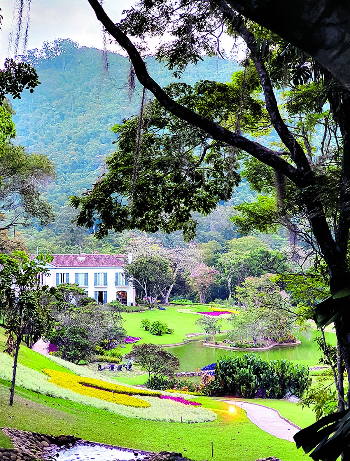 Foto:Reprodução