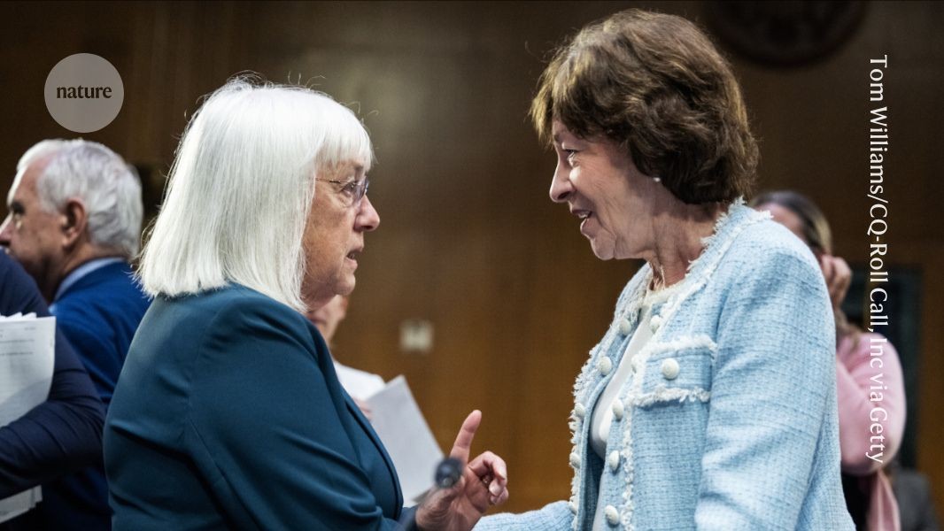 Senadores dos EUA devem rejeitar cortes significativos propostos por Trump na ciência Senadora Susan Collins (à direita), uma republicana do Maine, conversa com a senadora Patty Murray (à esquerda), uma democrata do estado de Washington, em uma reunião do comitê de apropriações em 10 de julho. (Foto: Tom Williams/CQ-Roll Call, Inc via Getty)