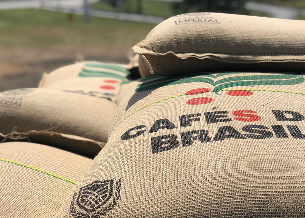 Tarifaço pode reduzir vendas de café do Brasil em US$ 2 bi e impactar EUA Os EUA são os maiores compradores mundiais de café, com cerca de 24 milhões de sacas consumidas ao ano, e o seu maior parceiro no fornecimento é o Brasil (Foto: Gustavo Facanalli/Embrapa)