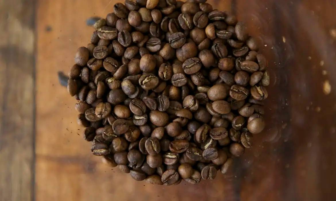 Tarifaço nos EUA ameaça exportações brasileiras de suco, café, carne e frutas Foto: Reprodução