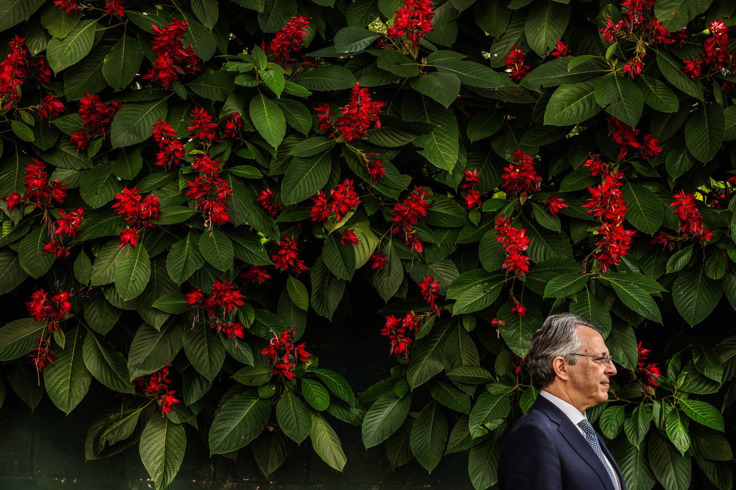 Foto:Reprodução