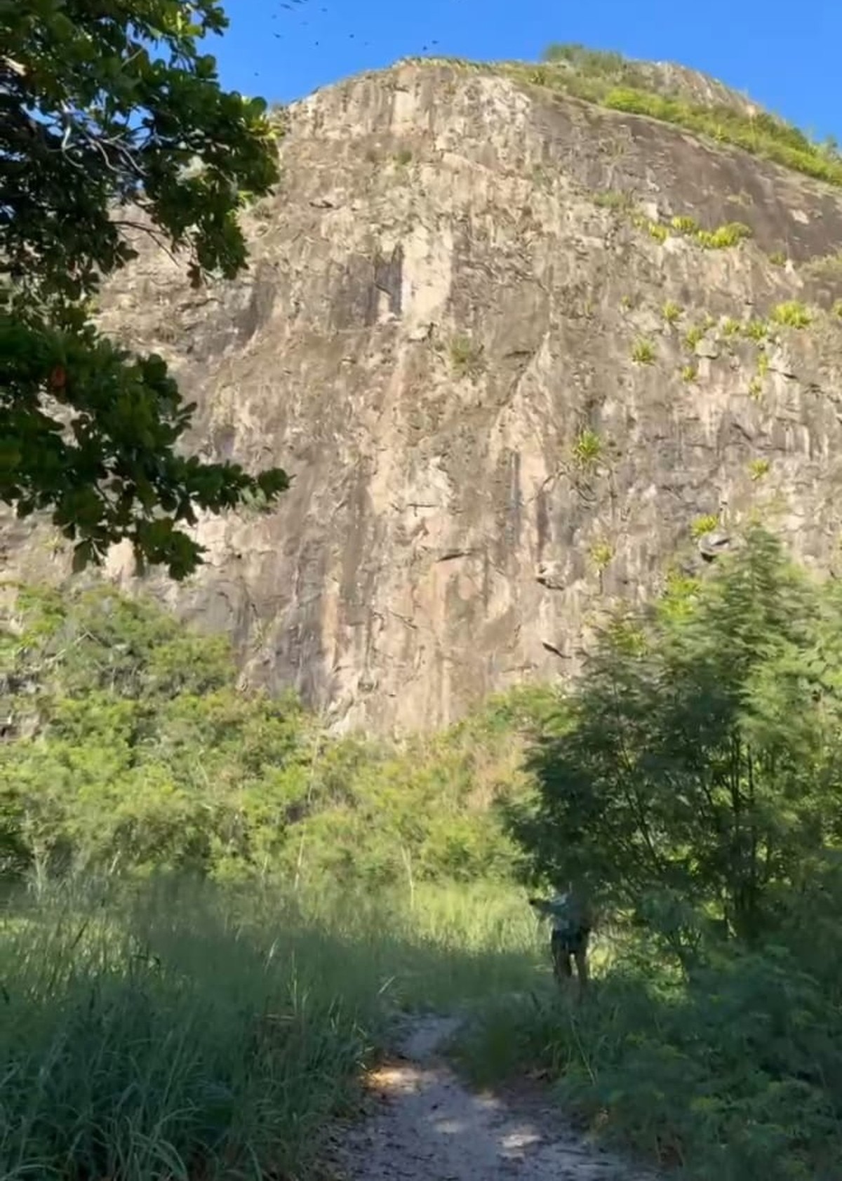 Foto:Reprodução