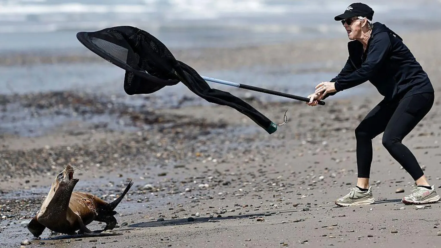 Foto:Reprodução