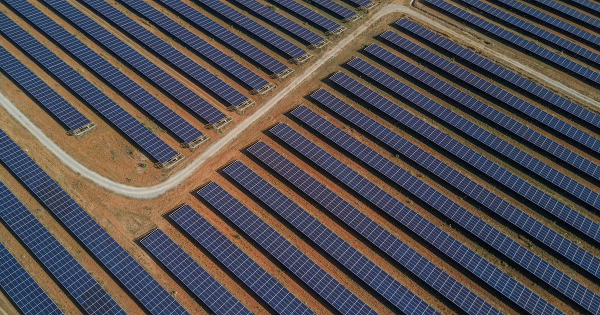 Fundo climático global aprova recorde de US$ 1 bilhão após saída dos EUA Os Estados Unidos retiraram US$ 4 bilhões prometidos à organização (Foto: Dhiraj Singh)