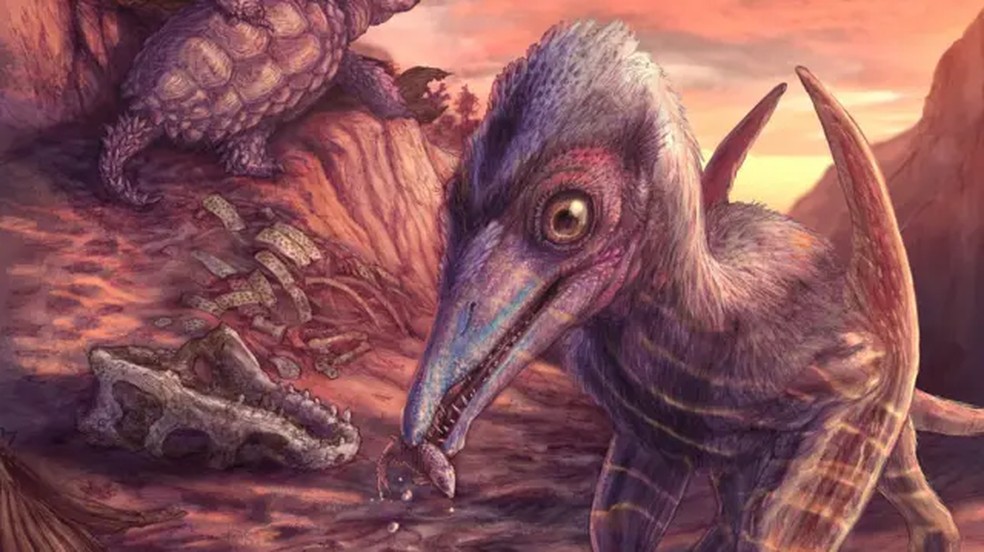 O novo pterossauro foi chamado de Eotephradactylus mcintireae, que significa 'deusa do amanhecer com asas de freixo' (Foto: Smithsonian/BBC)