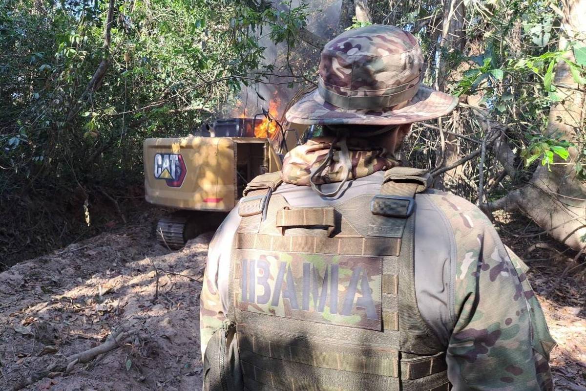 Agente do Ibama durante operação na terra indígena Sararé, na região de Pontes Lacerda (MT) (Foto: Divulgação - 1º.ago.2025/Ibama)