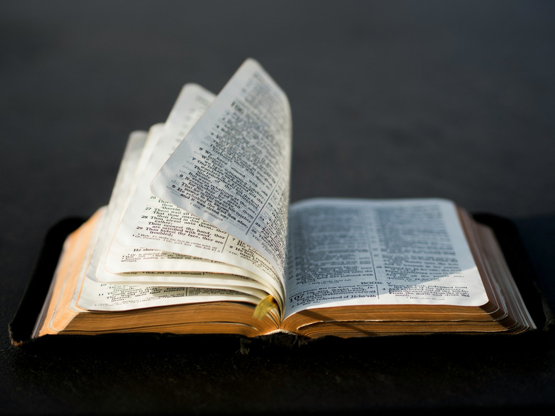 A nação enfrenta desafios que revelam sua decadência e fragilidade social Foto: Unsplash/Aaron Burden